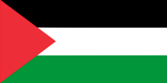 Flag_of_Palestine.svg.png