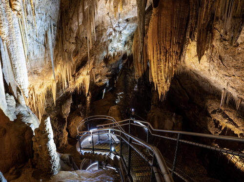 Newdegate Cave 3 - Credit Parks and Wildlife Service.jpg