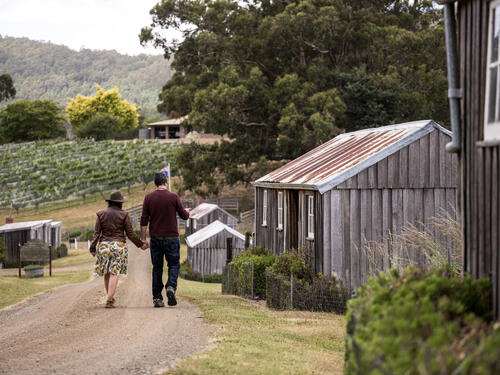 Hartzview Vineyard - Credit Andrew Wilson (1).jpg